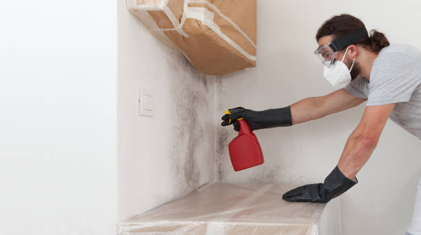 Professional Attic Mold Remediation technician working in Lexington, VA