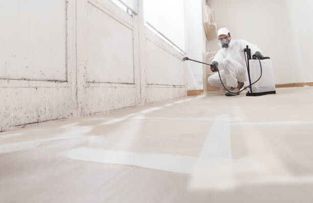 24/7 Emergency Attic Mold Remediation experts in Lexington, VA