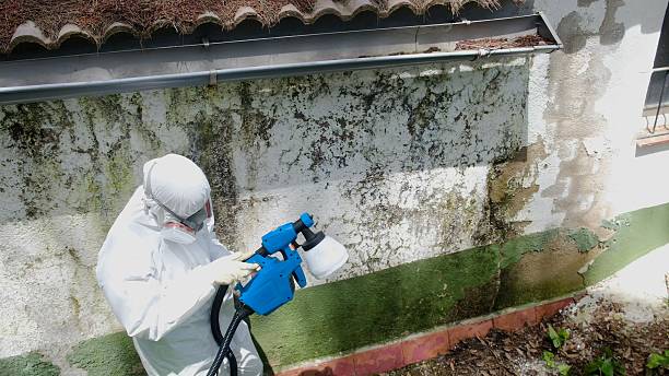Top rated local Attic Mold Remediation specialists in Lexington, VA